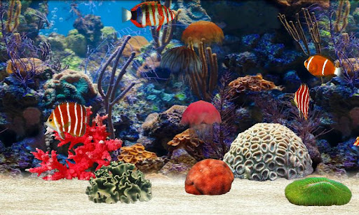 Fish Farm ekran görüntüsü