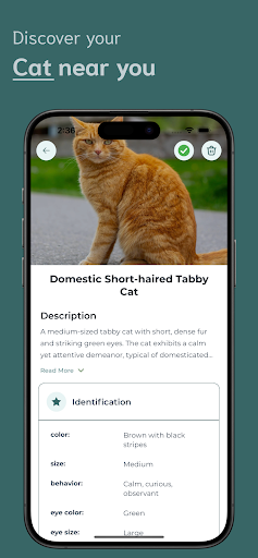 Cat Identifier ekran görüntüsü