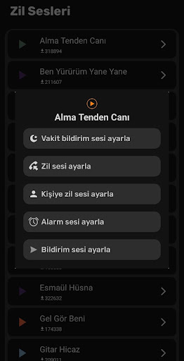 Zil Sesleri Ezan Vakti Pro ekran görüntüsü
