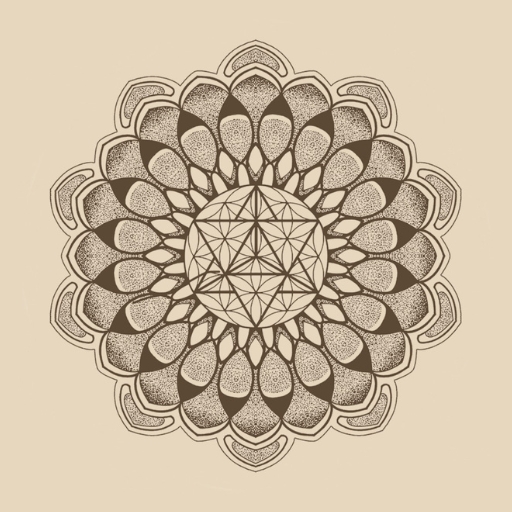 Alchemy with Taylor Sol