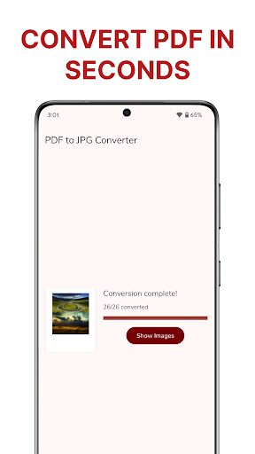 PDF to JPG Converter ekran görüntüsü