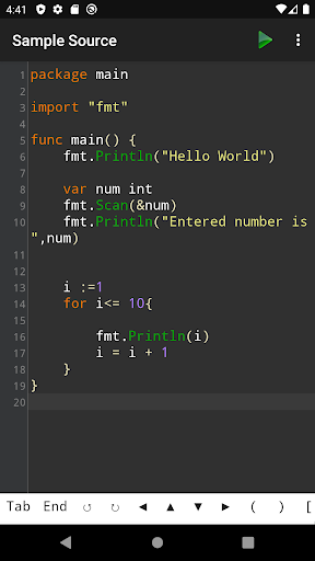Go Programming Compiler ekran görüntüsü