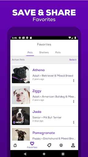 Petfinder - Adopt a Pet ekran görüntüsü