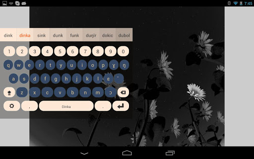 Dinka Keyboard Plugin ekran görüntüsü