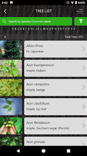 My Tree ID ekran görüntüsü
