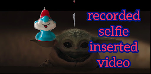 Background Video Changer ekran görüntüsü