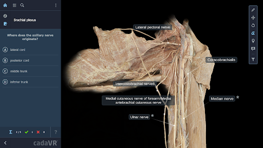 cadaVR anatomy ekran görüntüsü