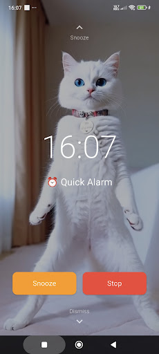 Video Alarm: Wake Up Fun ekran görüntüsü