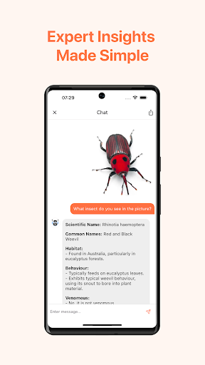 Insect Identifier App AI ekran görüntüsü