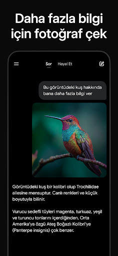 Grok - Yapay Zeka Asistanı ekran görüntüsü
