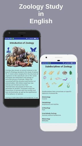 Zoology Study ekran görüntüsü