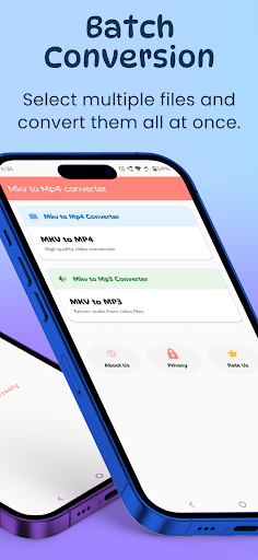 Mkv to Mp4 converter ekran görüntüsü