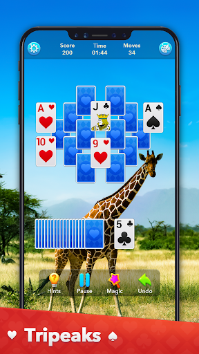 Solitaire Collection ekran görüntüsü