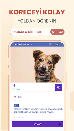 Korece Öğren - Başlangıç ekran görüntüsü