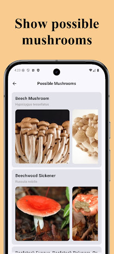 Forest Mushroom Identification ekran görüntüsü