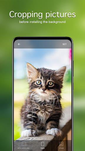 Cat Wallpapers & Cute Kittens ekran görüntüsü