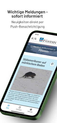 Päwesin ekran görüntüsü