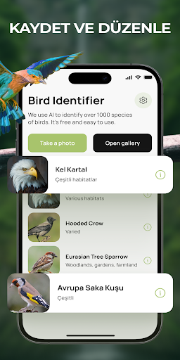 Bird Identifier Sound Guide ekran görüntüsü