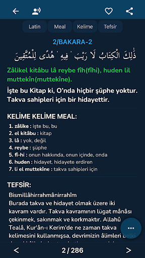 Kur'an-ı Kerim Lafzı ve Ruhu ekran görüntüsü