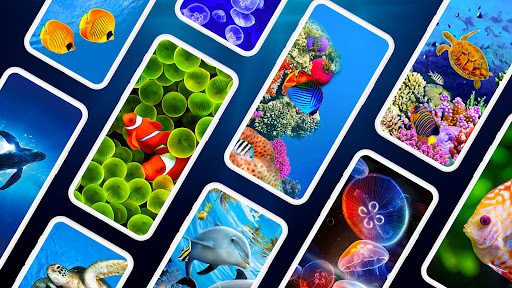Underwater Wallpapers 4K ekran görüntüsü