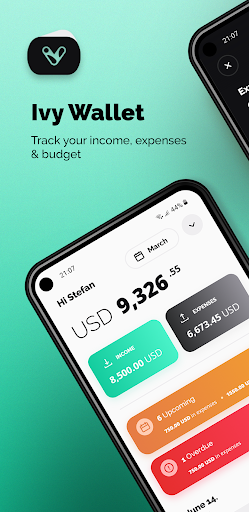 Ivy Wallet: money manager ekran görüntüsü