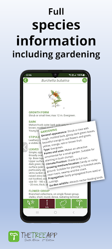 TheTreeApp SA: Tree Identifier ekran görüntüsü