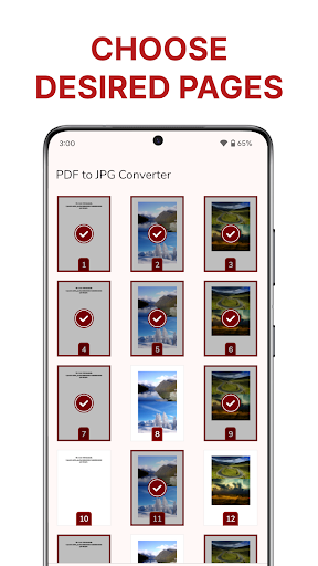 PDF to JPG Converter ekran görüntüsü