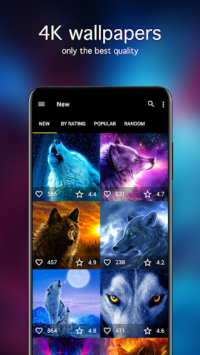 Wolf Wallpapers 4K ekran görüntüsü