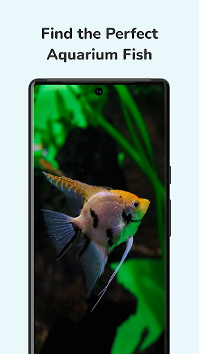 Fish Identifier: AI Scanner ekran görüntüsü