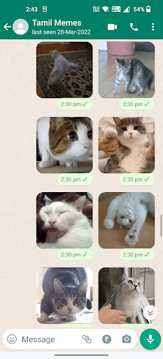 Cat Animated Stickers ekran görüntüsü