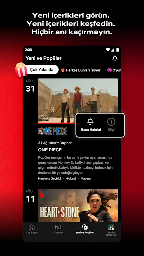 Netflix ekran görüntüsü