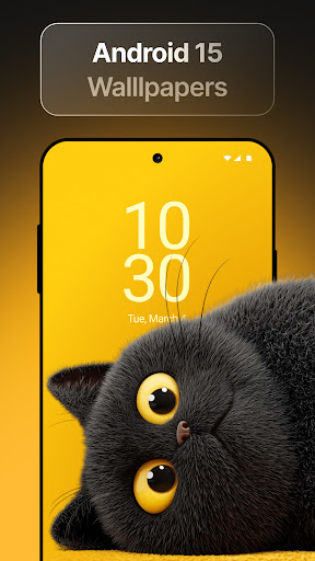 Wallpics - Live Wallpapers 4K ekran görüntüsü