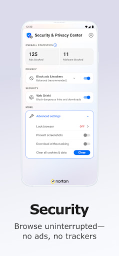 Norton Private Browser ekran görüntüsü