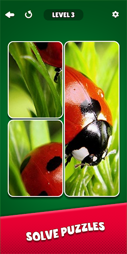 Solitaire Puzzle: Jigsaw Card ekran görüntüsü