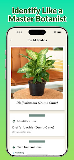 Plant Identifier & diagnosis ekran görüntüsü