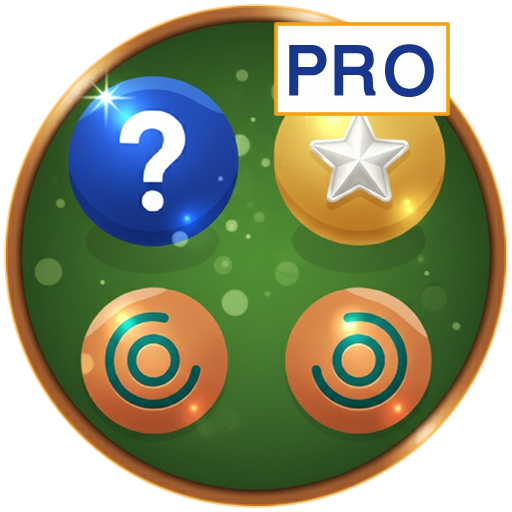 FlipTrek Memory pro