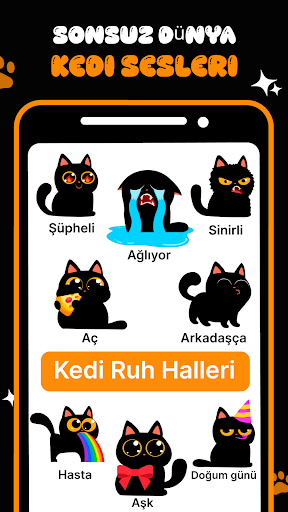KittyTalk Miyav Kedi Tercüman ekran görüntüsü