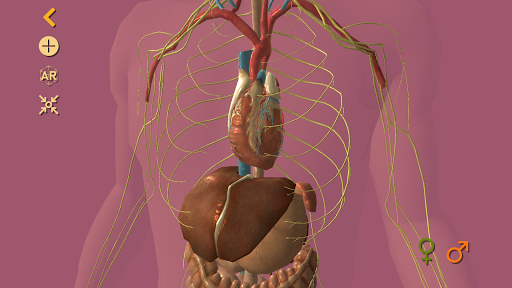 Arloon Anatomy AR ekran görüntüsü