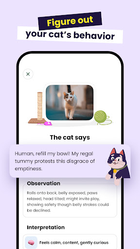 Meowz: Cat Training & Pet care ekran görüntüsü