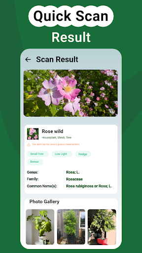 PlantGro: AI Plant Identifier ekran görüntüsü