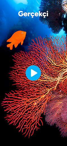 AI Video Generator - Flash ekran görüntüsü