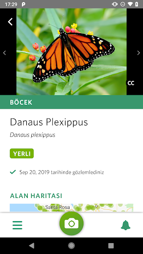 iNaturalist tarafından Seek ekran görüntüsü