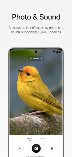 Aboutbirds ekran görüntüsü