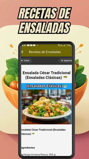 Recetas de Ensaladas ekran görüntüsü
