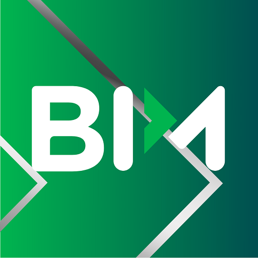 BIM