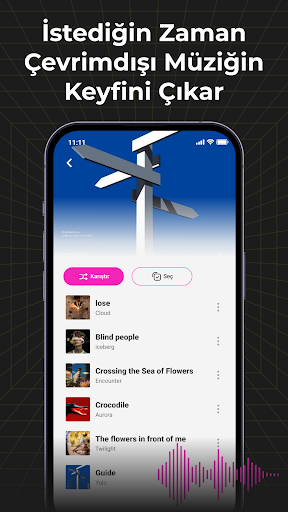 Audio Insight-Çevrimdışı Müzik ekran görüntüsü