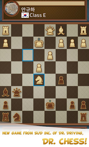 Dr. Chess ekran görüntüsü