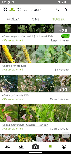 PlantNet Plant Identification ekran görüntüsü