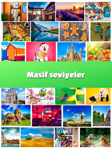 Farkları Bul 500 Fotoğraf 2 ekran görüntüsü