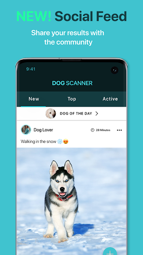 Dog Scanner: Breed Recognition ekran görüntüsü
